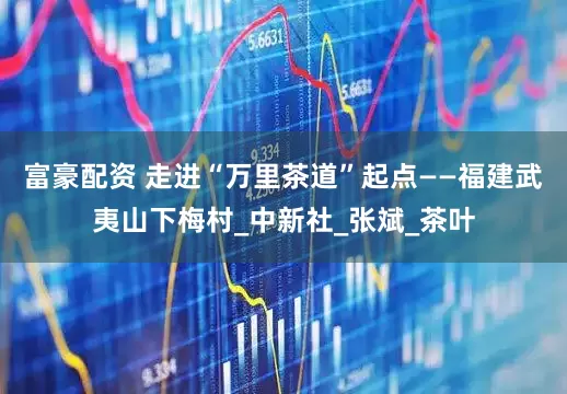 富豪配资 走进“万里茶道”起点——福建武夷山下梅村_中新社_张斌_茶叶