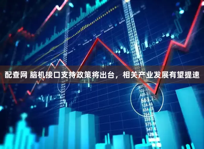配查网 脑机接口支持政策将出台，相关产业发展有望提速