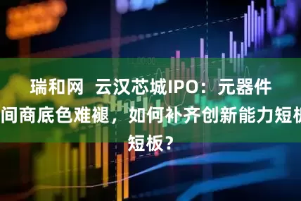 瑞和网  云汉芯城IPO：元器件中间商底色难褪，如何补齐创新能力短板？