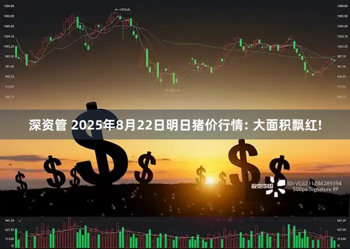 深资管 2025年8月22日明日猪价行情: 大面积飘红!