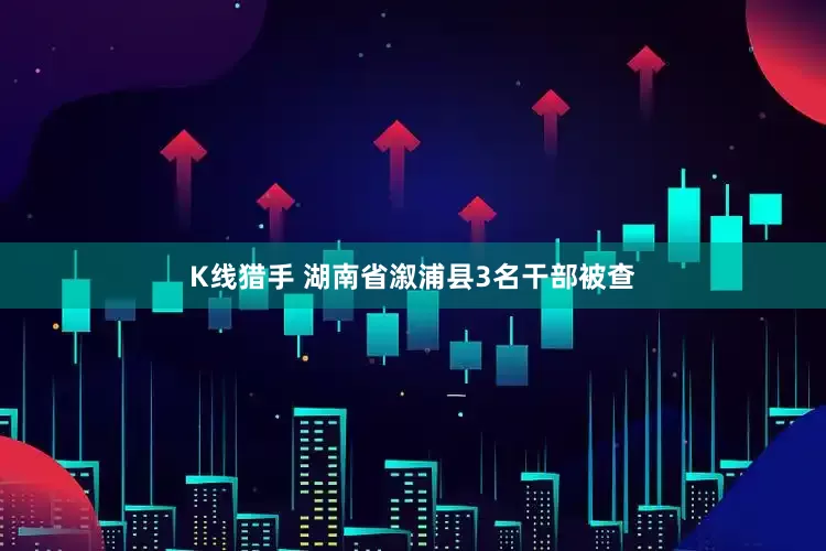 K线猎手 湖南省溆浦县3名干部被查