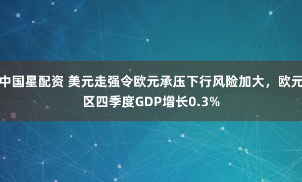 中国星配资 美元走强令欧元承压下行风险加大，欧元区四季度GDP增长0.3%